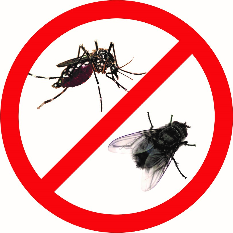Dịch vụ diệt ruồi muỗi